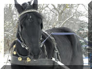 imper1.jpg (103976 B)