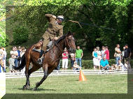 ulanblonia.jpg (147558 B)